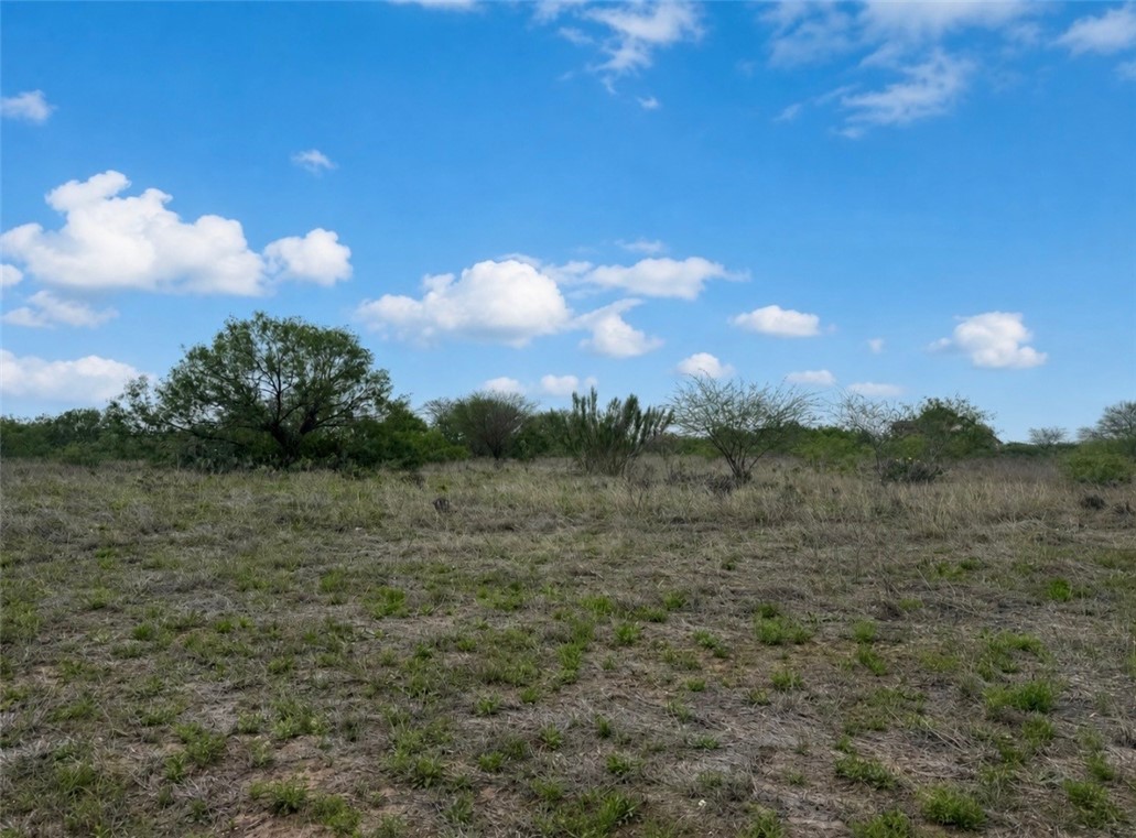 0 County Road 1701 Property Photo 1