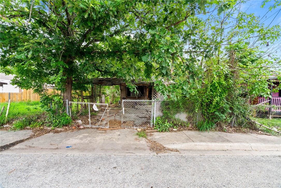808 Elesa St Property Photo 4