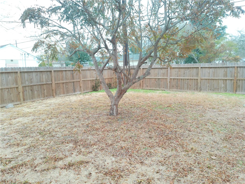 225 Watson St Property Photo 18