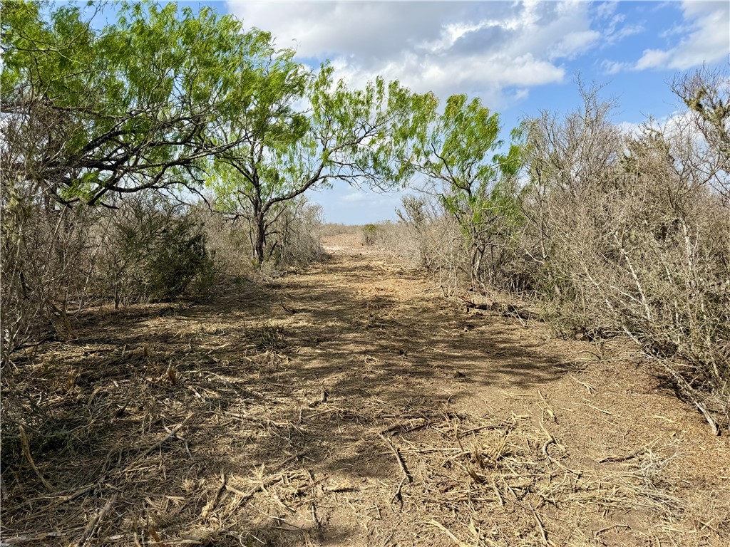 0 Cr 104 Property Photo 3