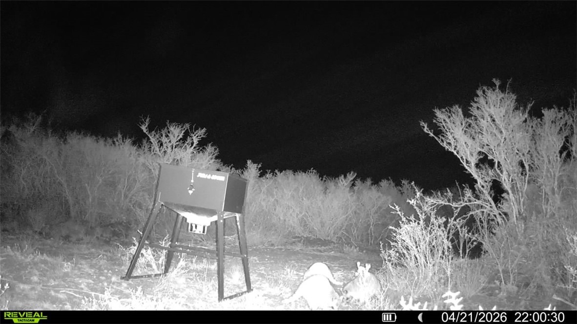 0 Cr 104 Property Photo 16