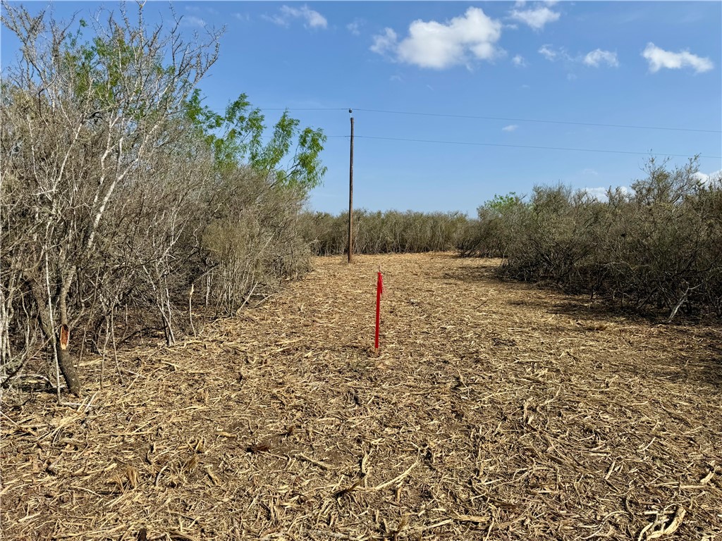 0 Cr 104 Property Photo 21