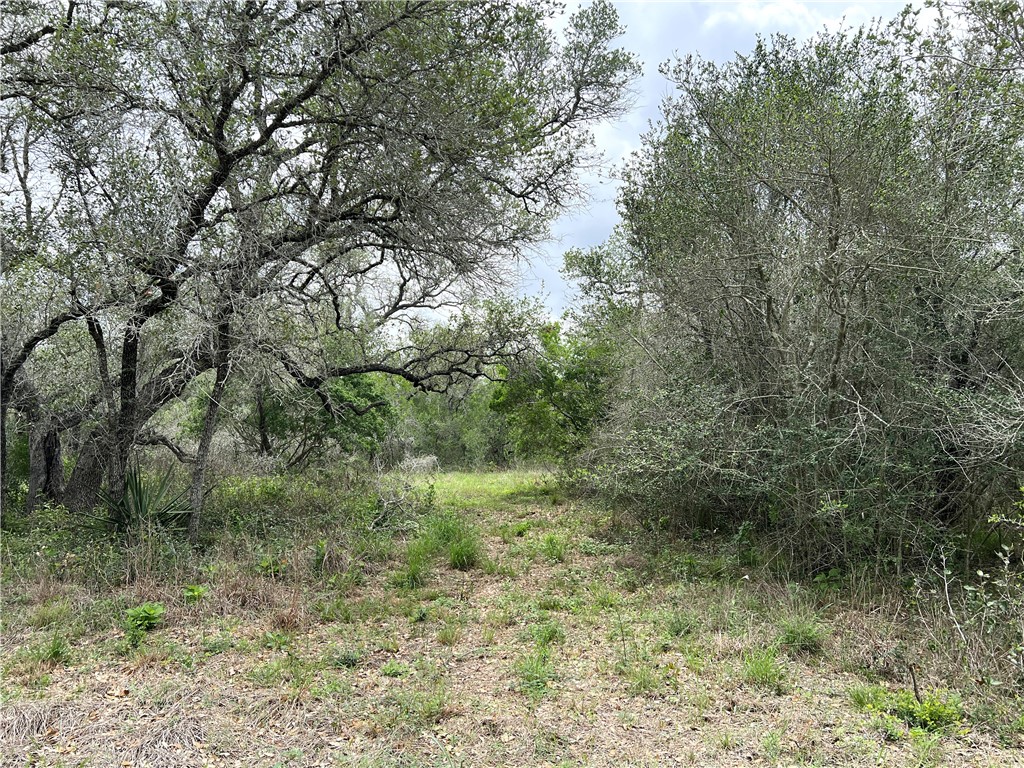 1632 Slickfield Road Property Photo 27