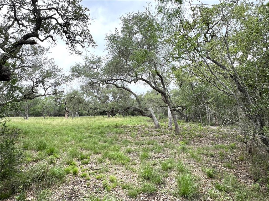 1632 Slickfield Road Property Photo 28