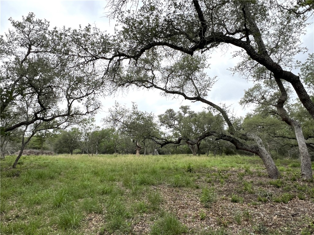 1632 Slickfield Road Property Photo 30