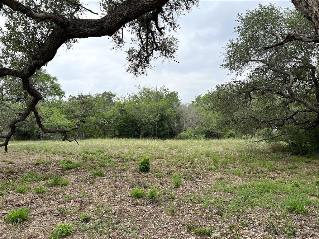 1632 Slickfield Road Property Photo 33
