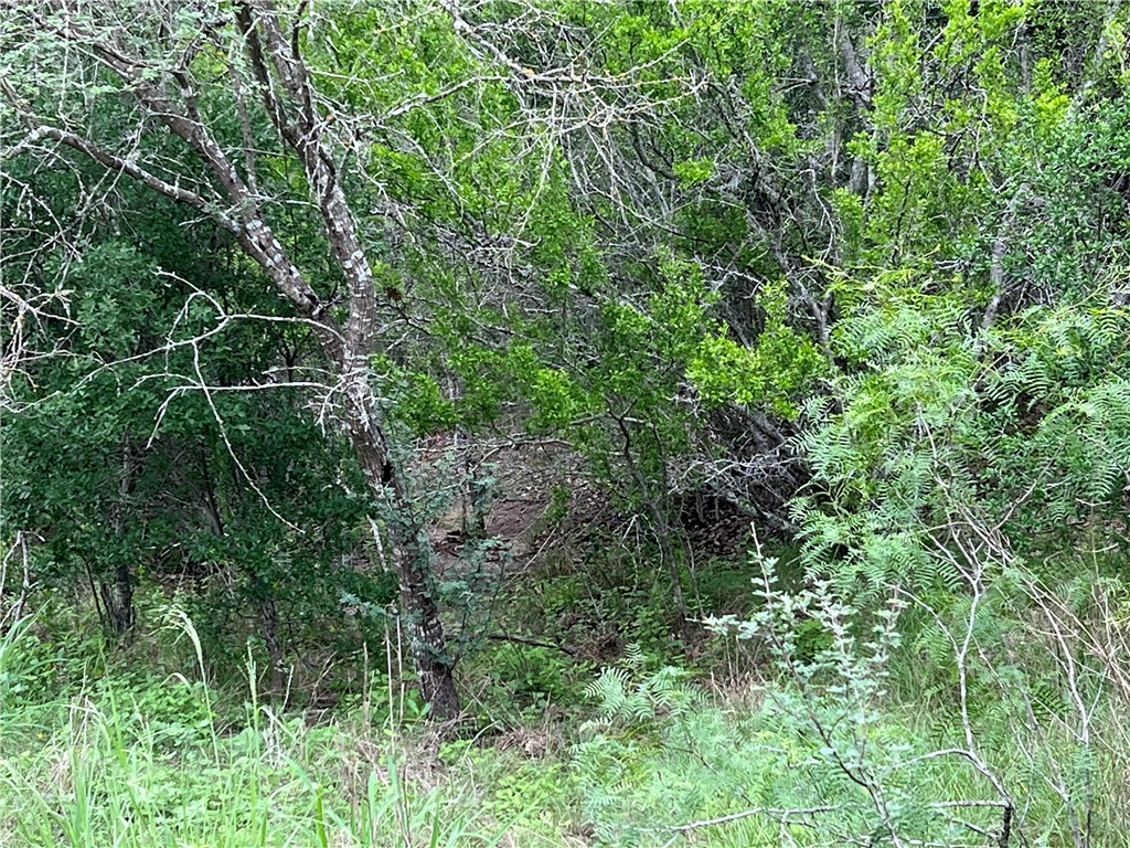 1632 Slickfield Road Property Photo 35