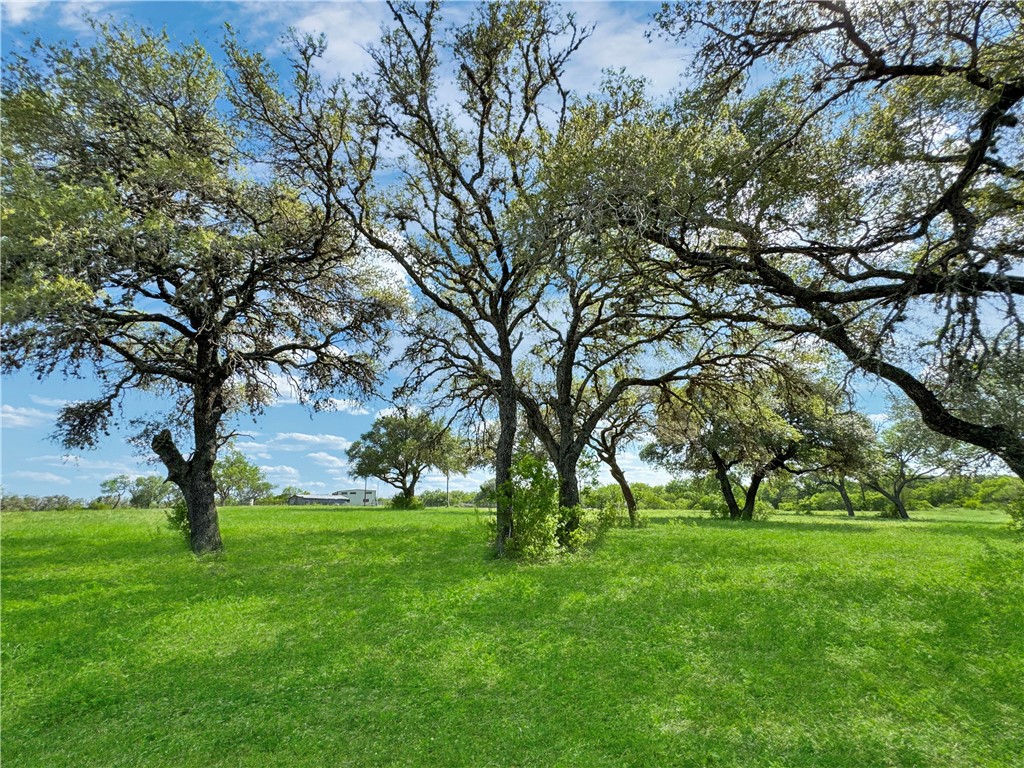4552 Mineral Cemetery Property Photo 5