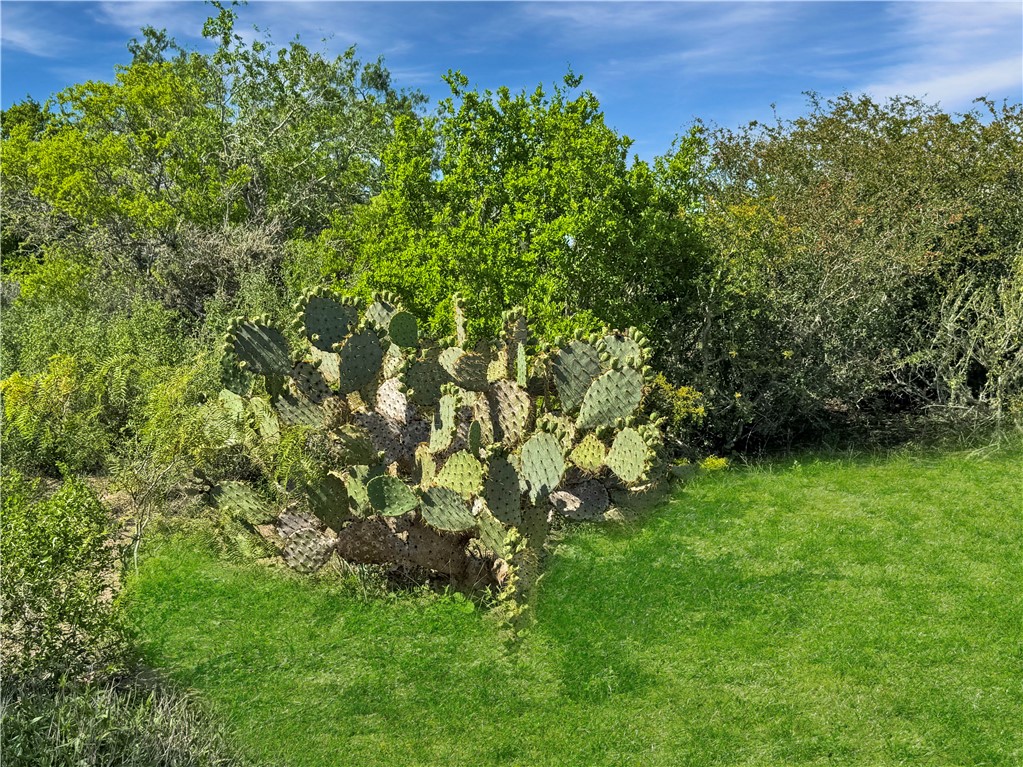 4552 Mineral Cemetery Property Photo 15