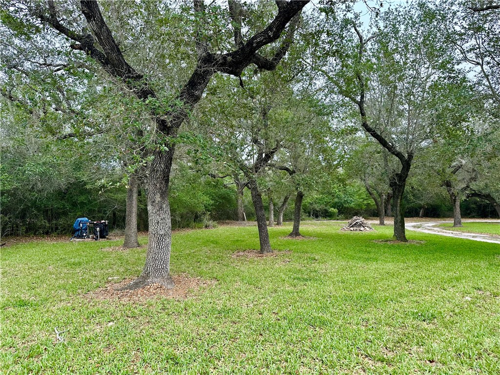 24 Twelfth St. (lamar) Property Photo 4