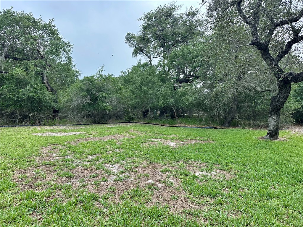 24 Twelfth St. (lamar) Property Photo 5