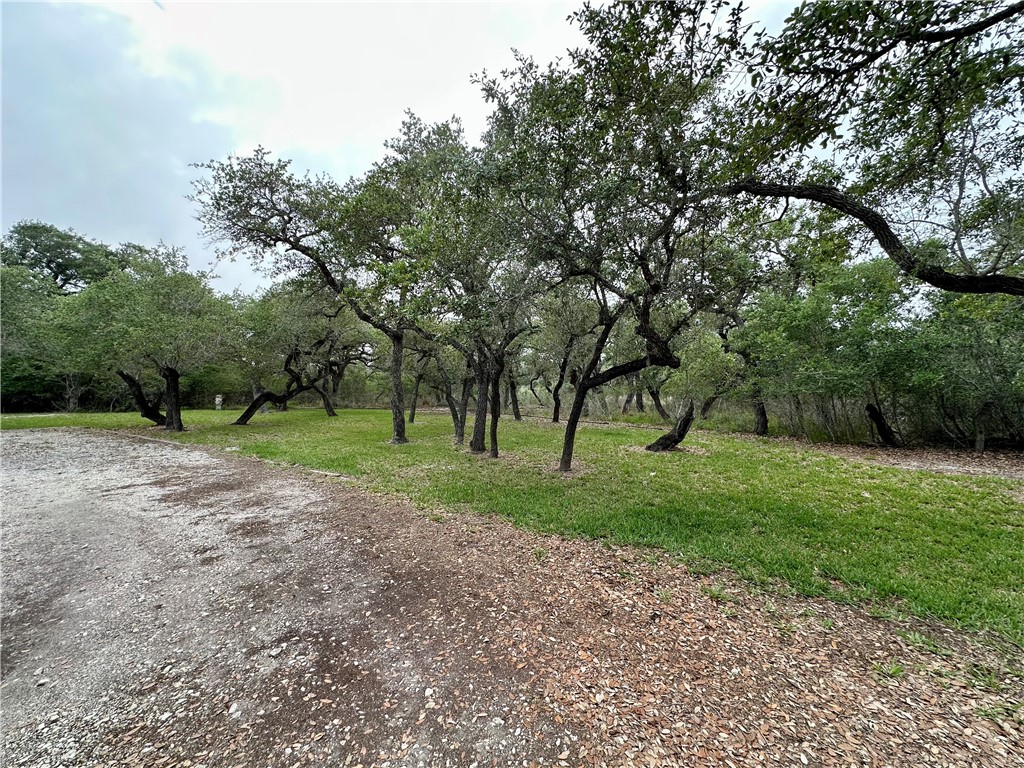 24 Twelfth St. (lamar) Property Photo 6