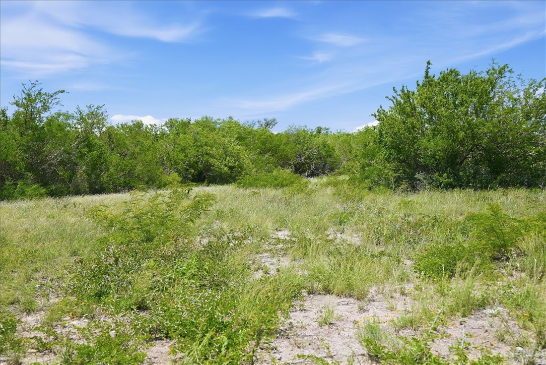 731 County Road 325 Property Photo 29