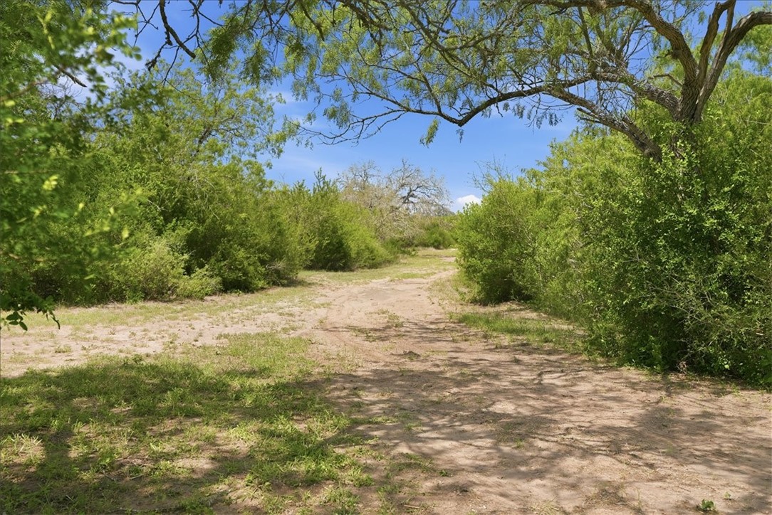 731 County Road 325 Property Photo 33