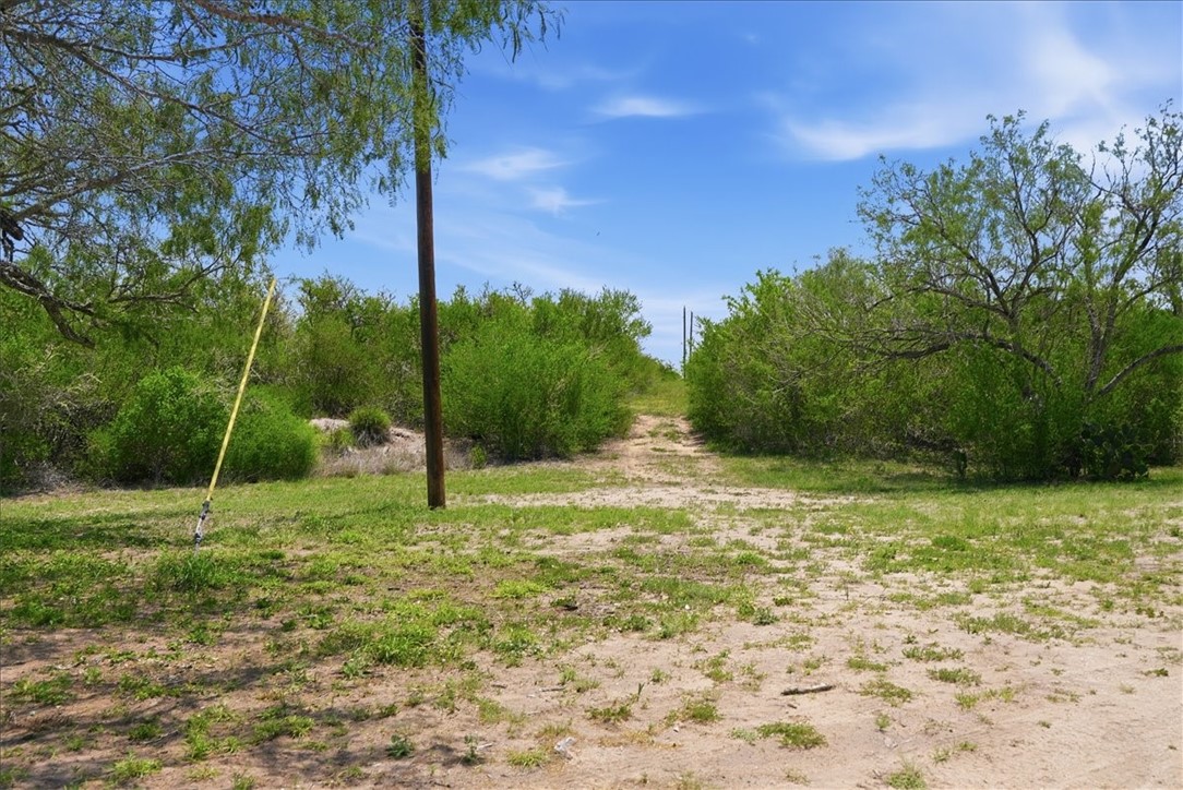 731 County Road 325 Property Photo 36