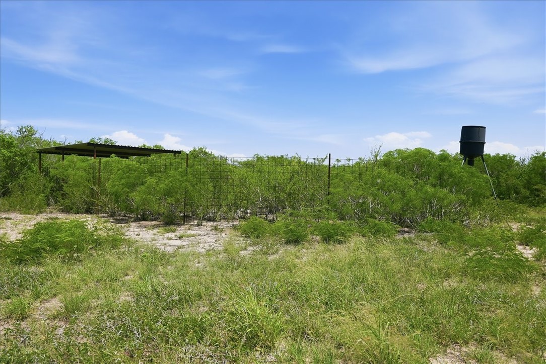 731 County Road 325 Property Photo 38