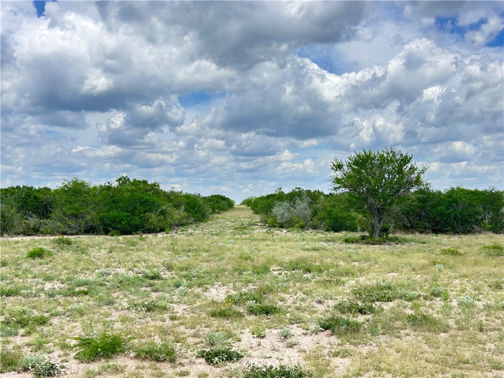 Tbd Tbd Property Photo 6
