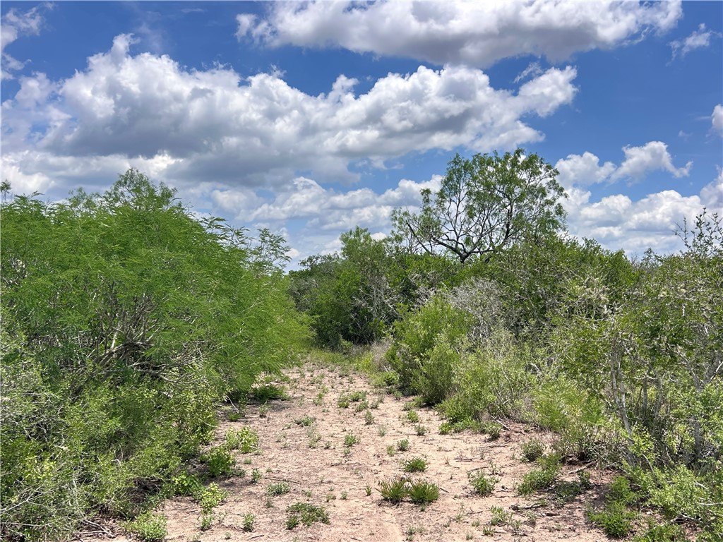 Tbd Tbd Property Photo 10