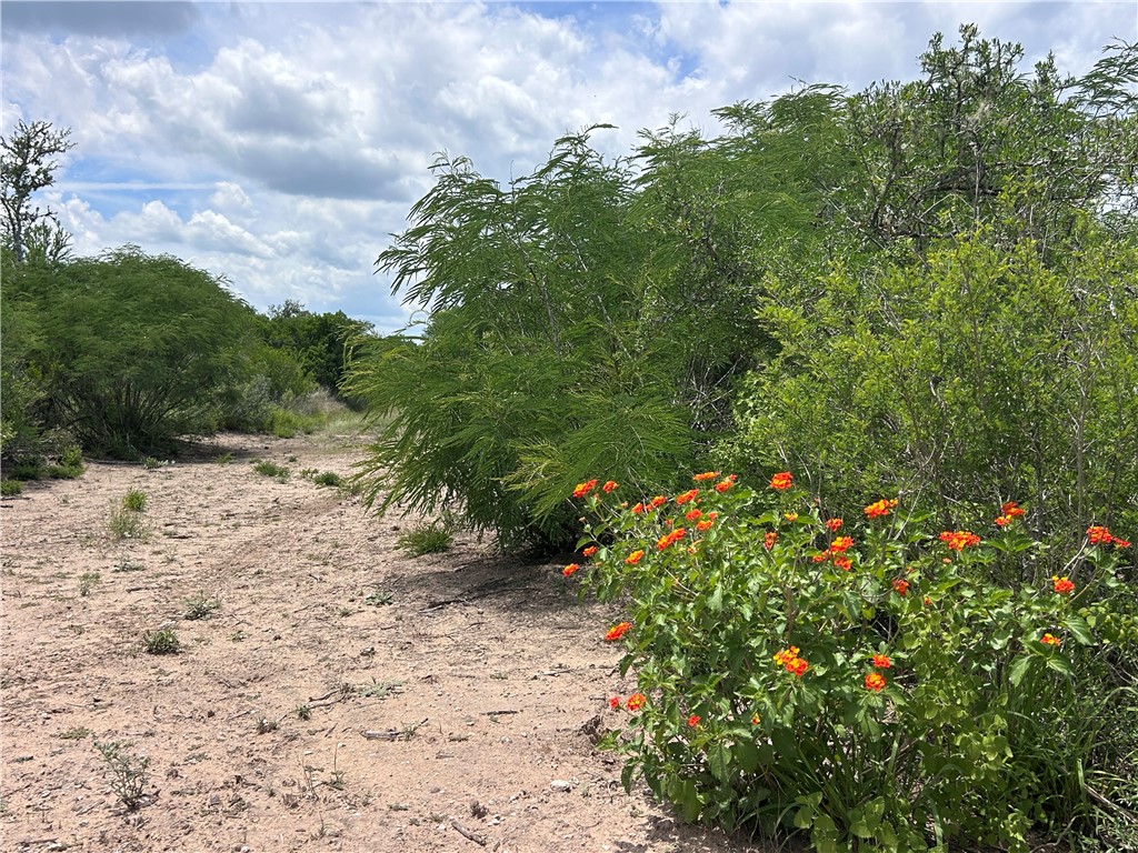 Tbd Tbd Property Photo 16