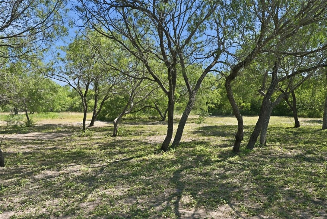 6137 Main Property Photo 36