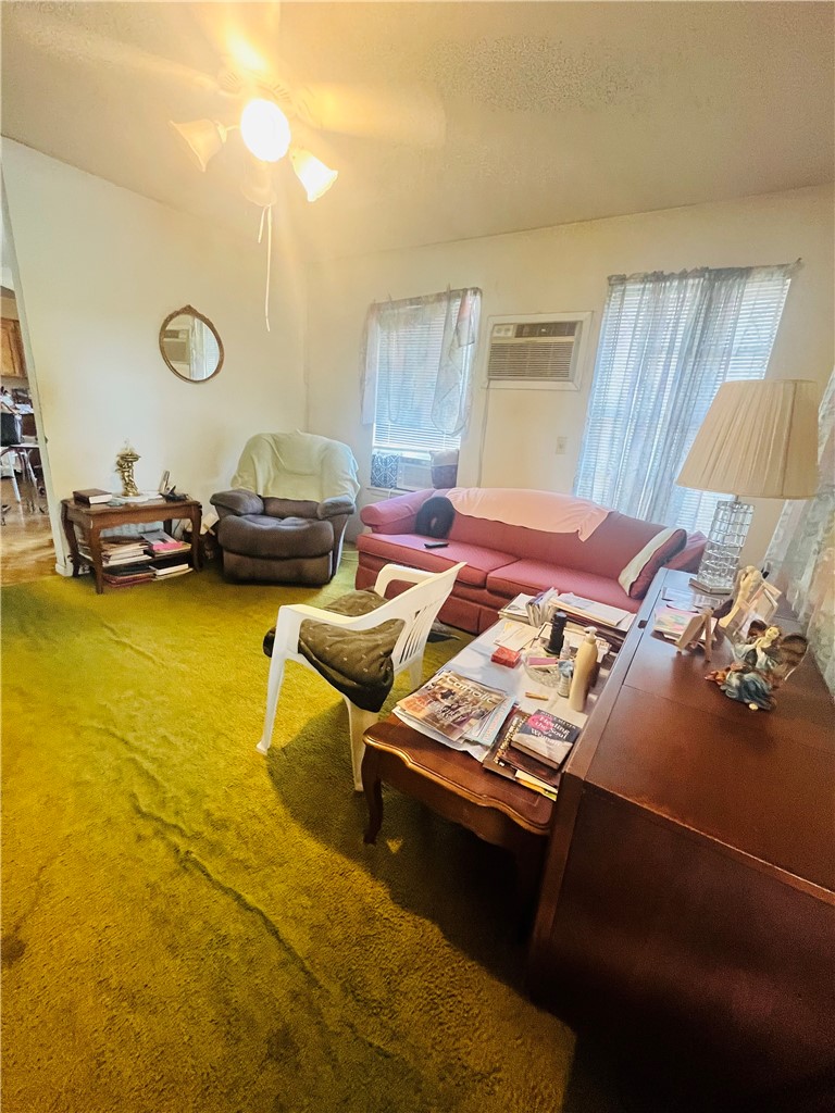 215 Hiawatha Property Photo 6