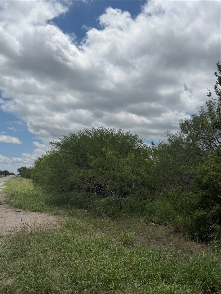 Tbd County Road 137 Property Photo 3