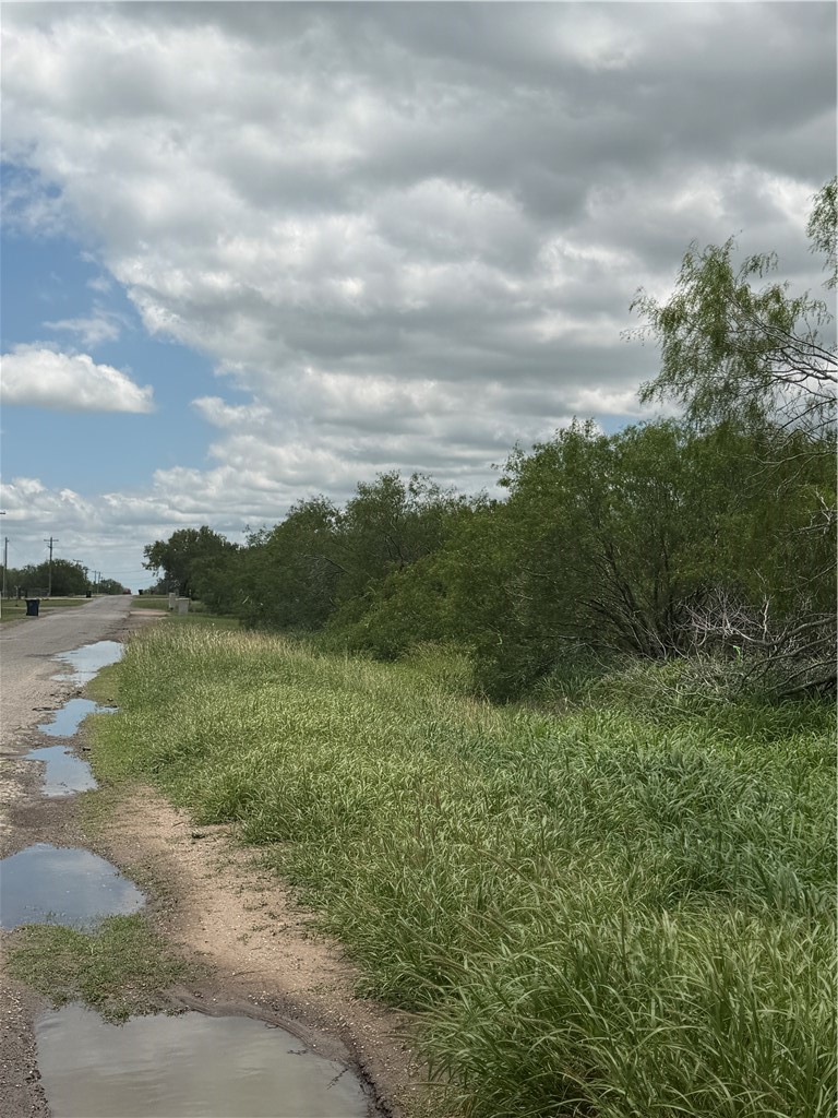 Tbd County Road 137 Property Photo 4