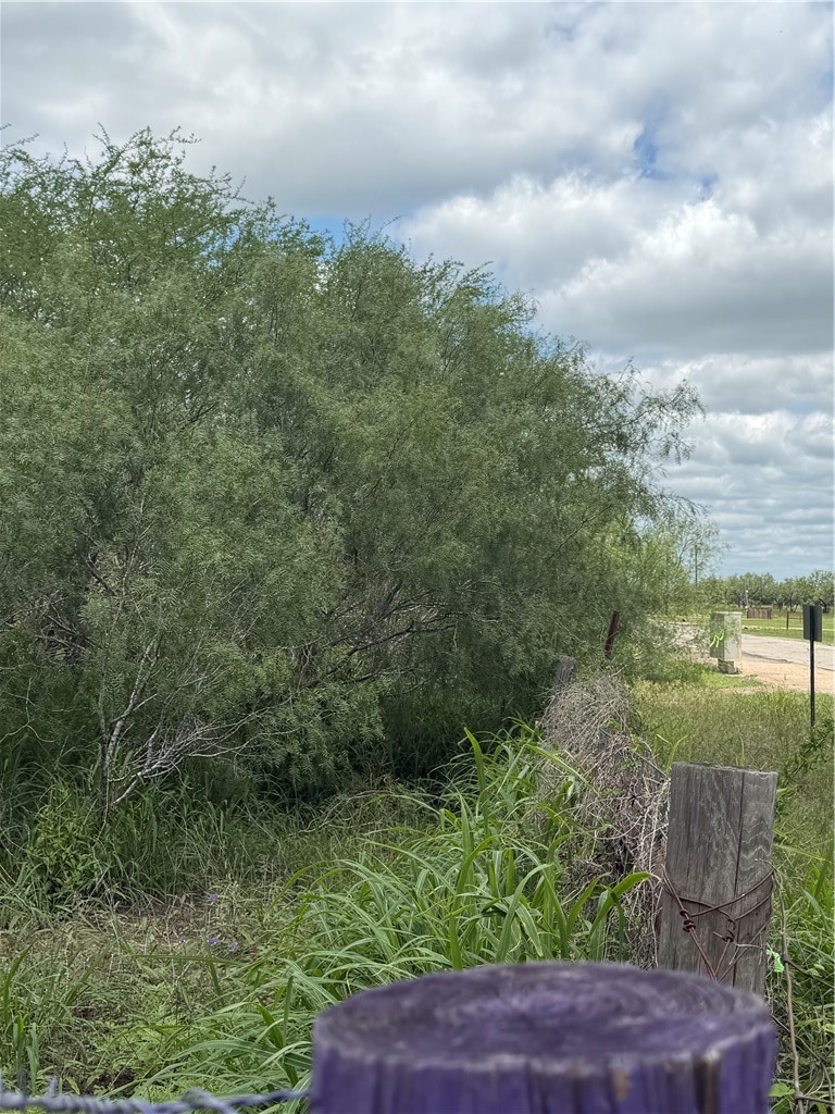 Tbd County Road 137 Property Photo 5