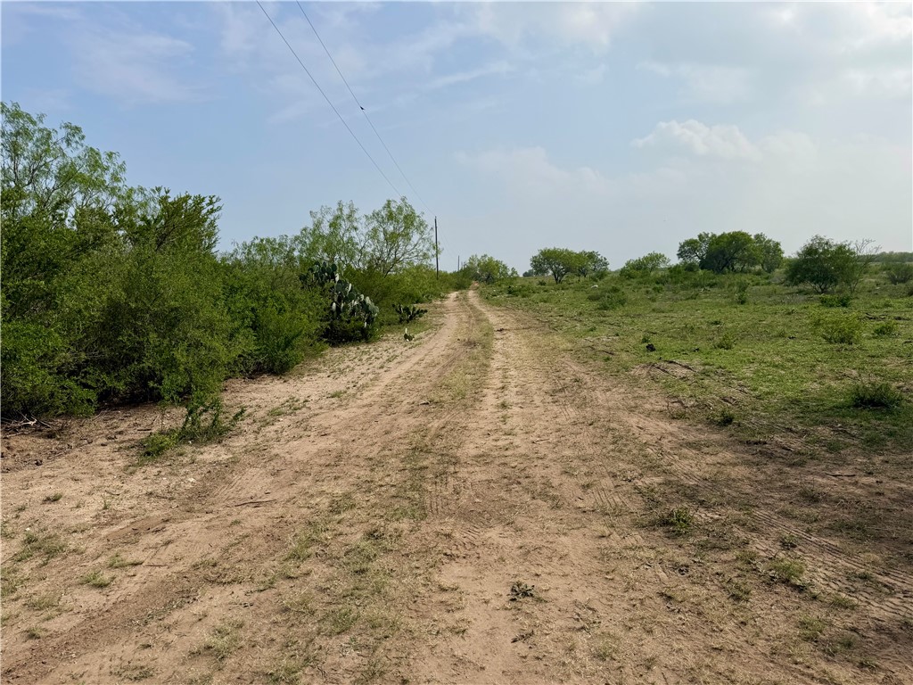 0 County Road 104 Property Photo 13