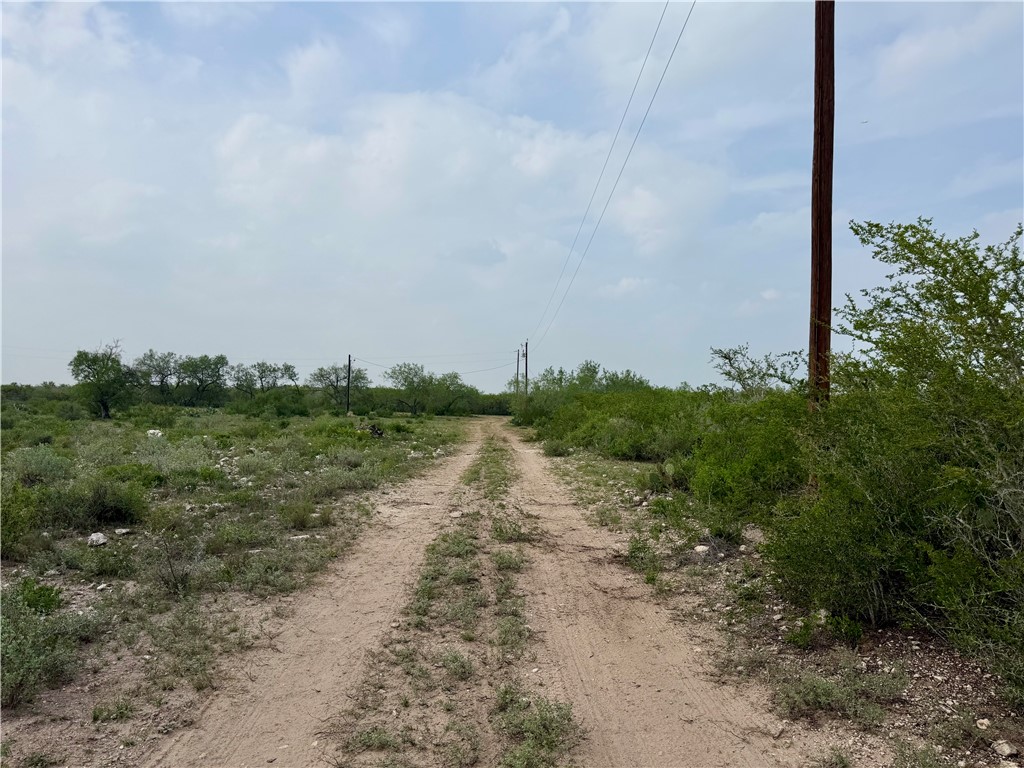 0 County Road 104 Property Photo 18