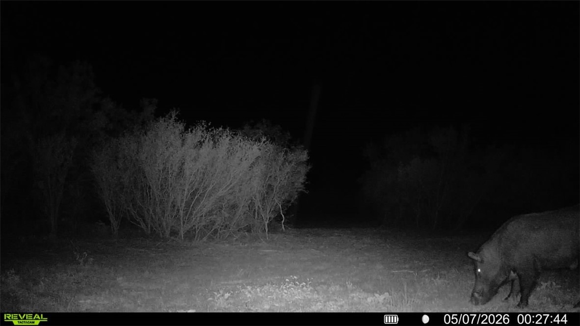 0 County Road 104 Property Photo 36