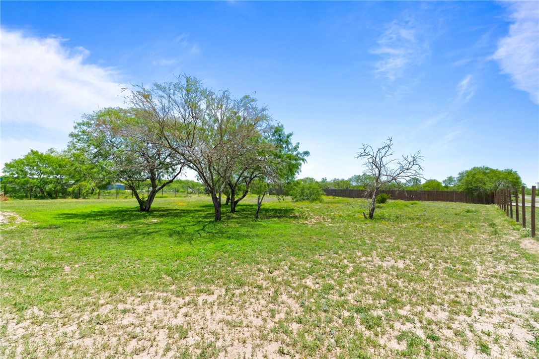 3249 County Road 308 Property Photo 4