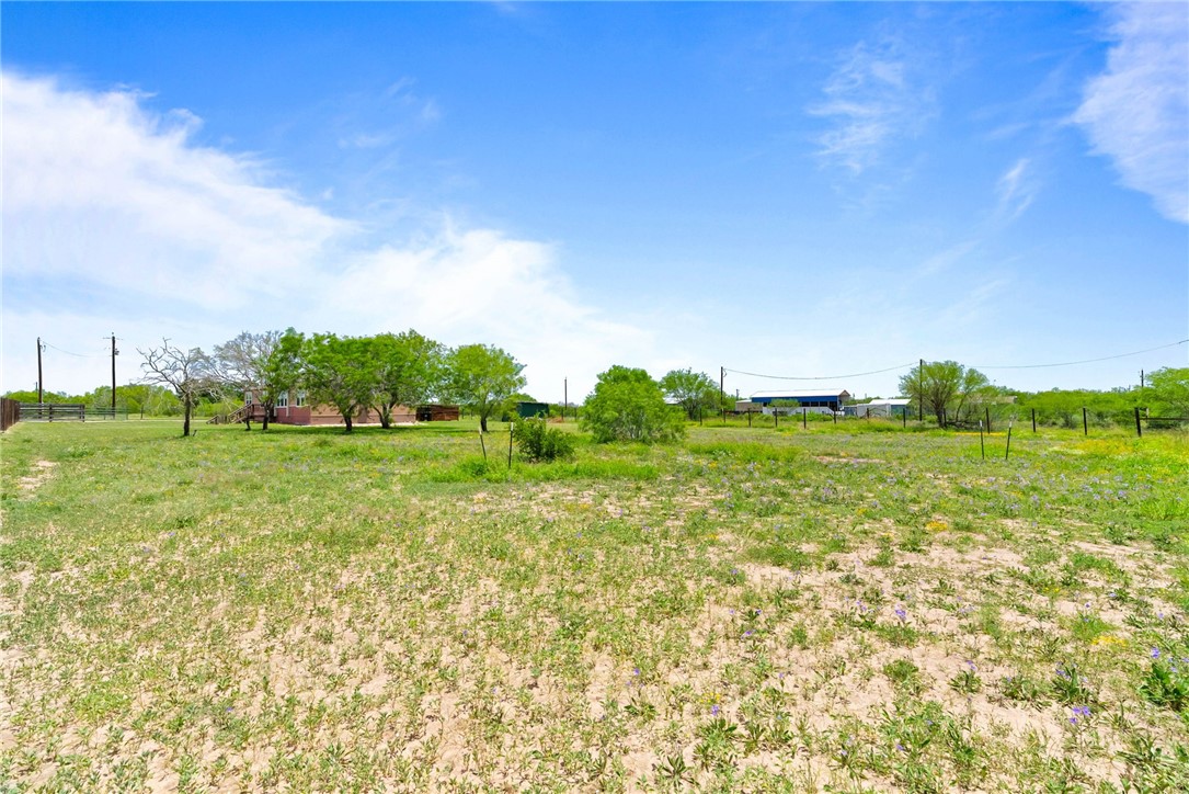 3249 County Road 308 Property Photo 5