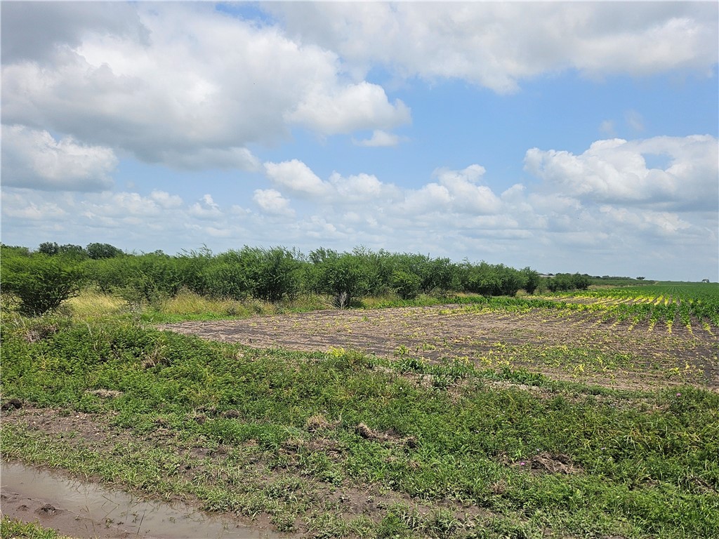 0 Cr 364 Property Photo 5