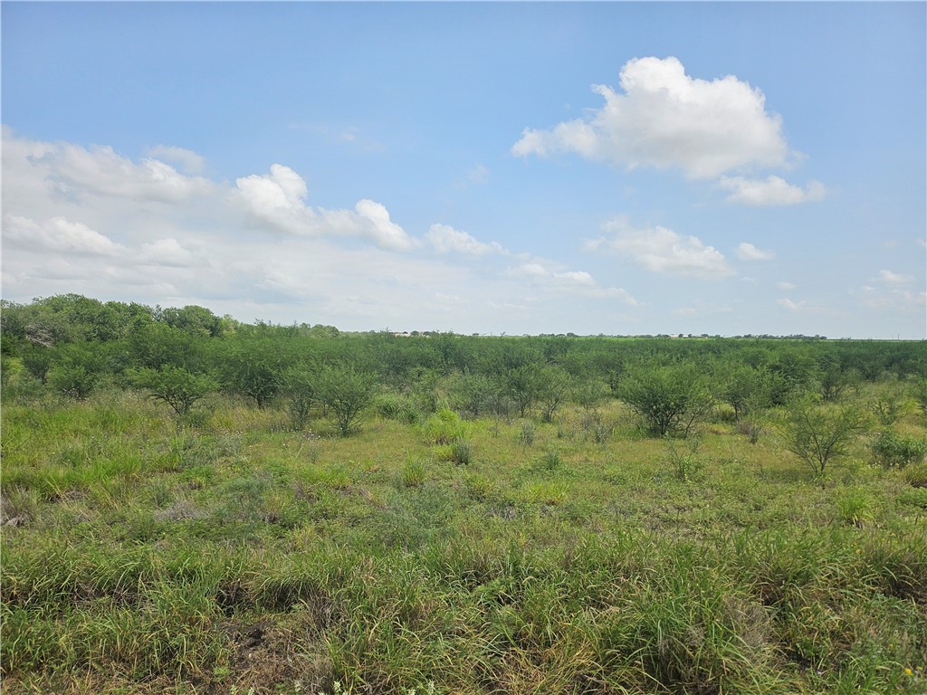 0 Cr 364 Property Photo 6