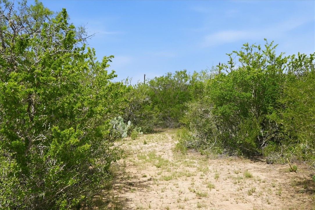 130 Choke Canyon Estates Property Photo 2