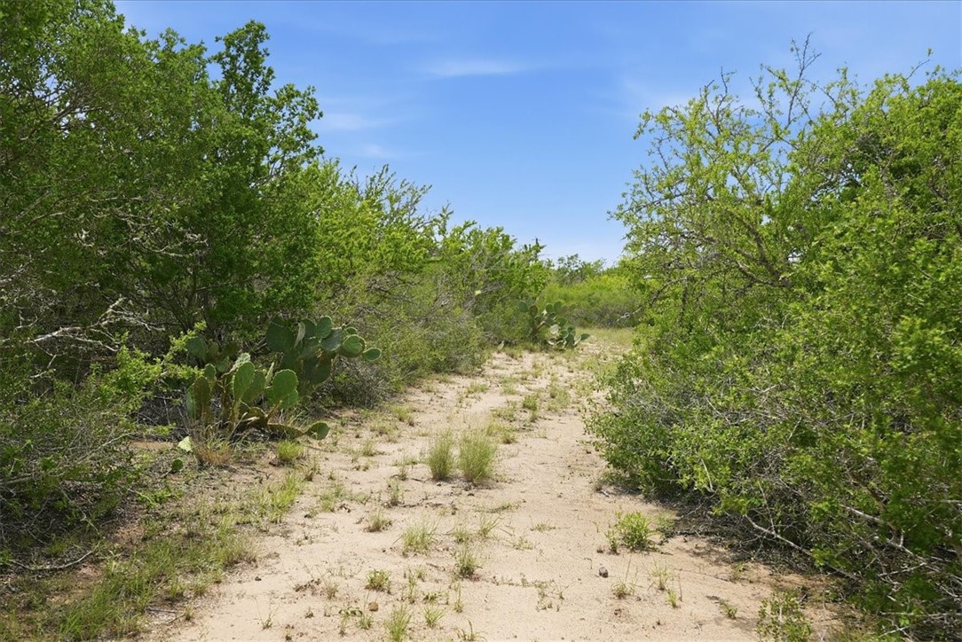 130 Choke Canyon Estates Property Photo 3