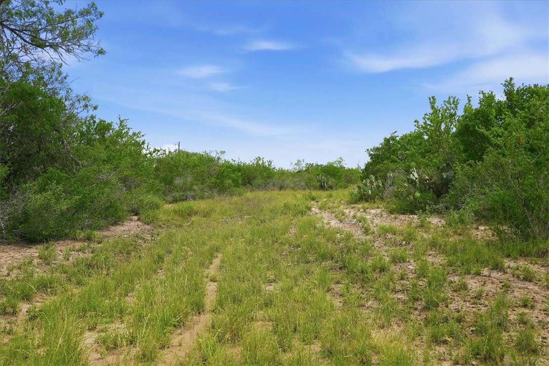 130 Choke Canyon Estates Property Photo 4