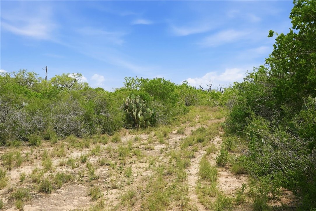 130 Choke Canyon Estates Property Photo 5