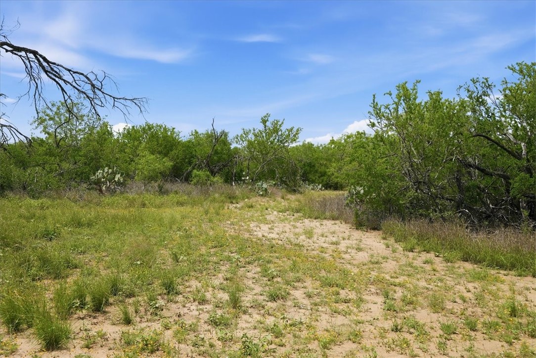 130 Choke Canyon Estates Property Photo 6