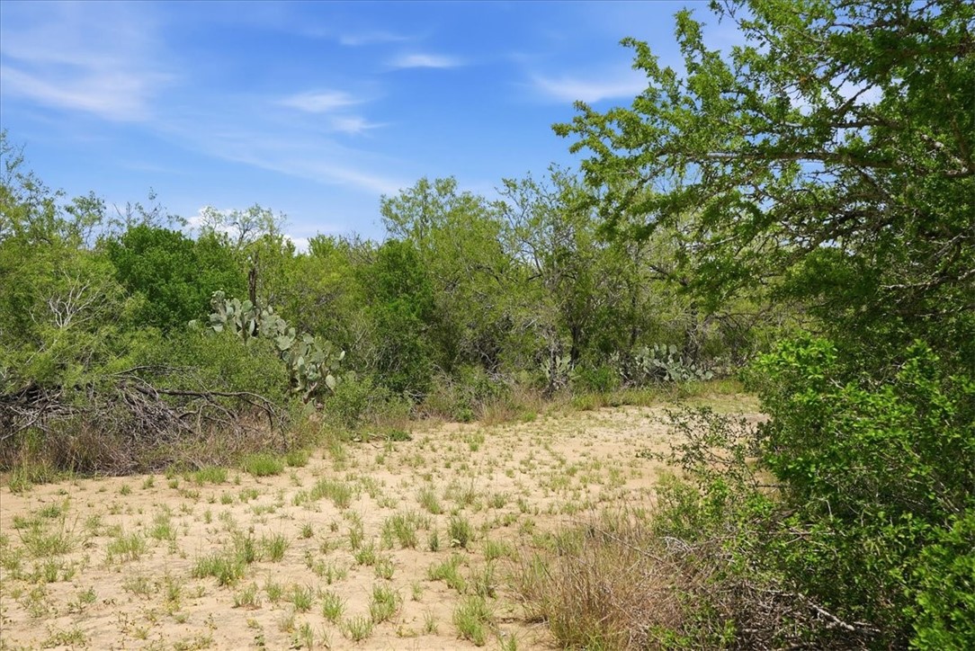 130 Choke Canyon Estates Property Photo 7