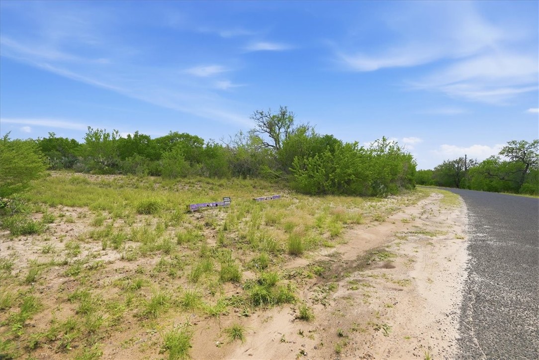 130 Choke Canyon Estates Property Photo 9