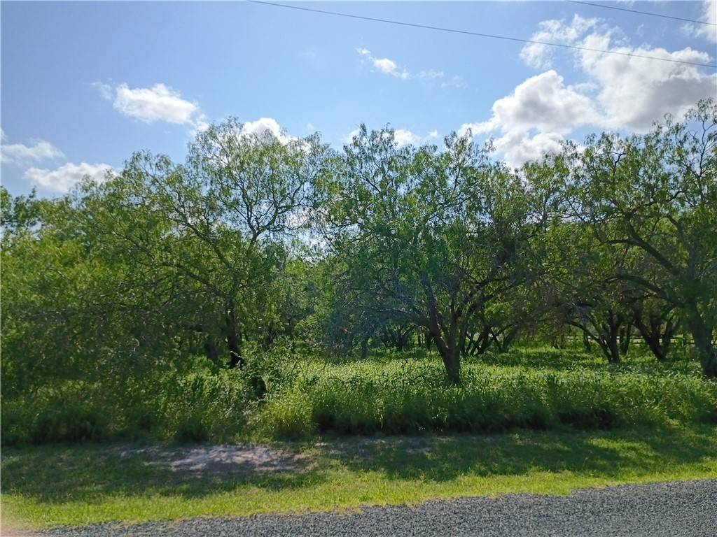 108 Swinney Switch Property Photo 1