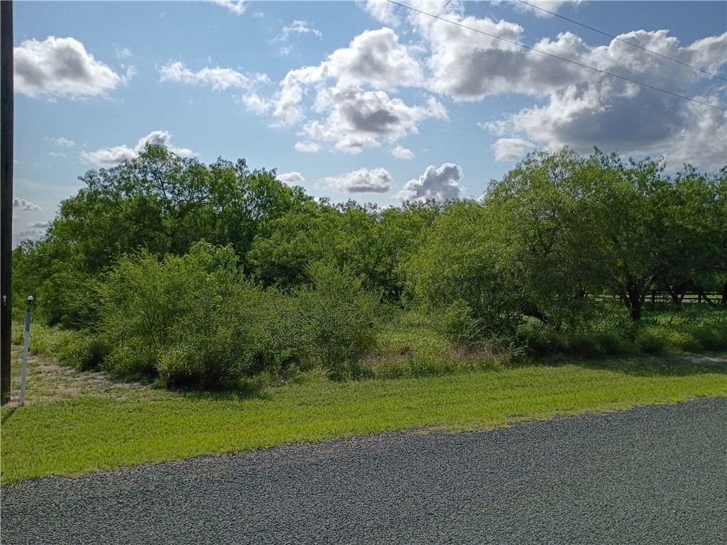 108 Swinney Switch Property Photo 3