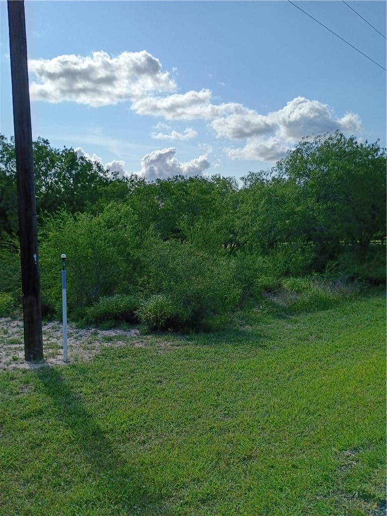 108 Swinney Switch Property Photo 11