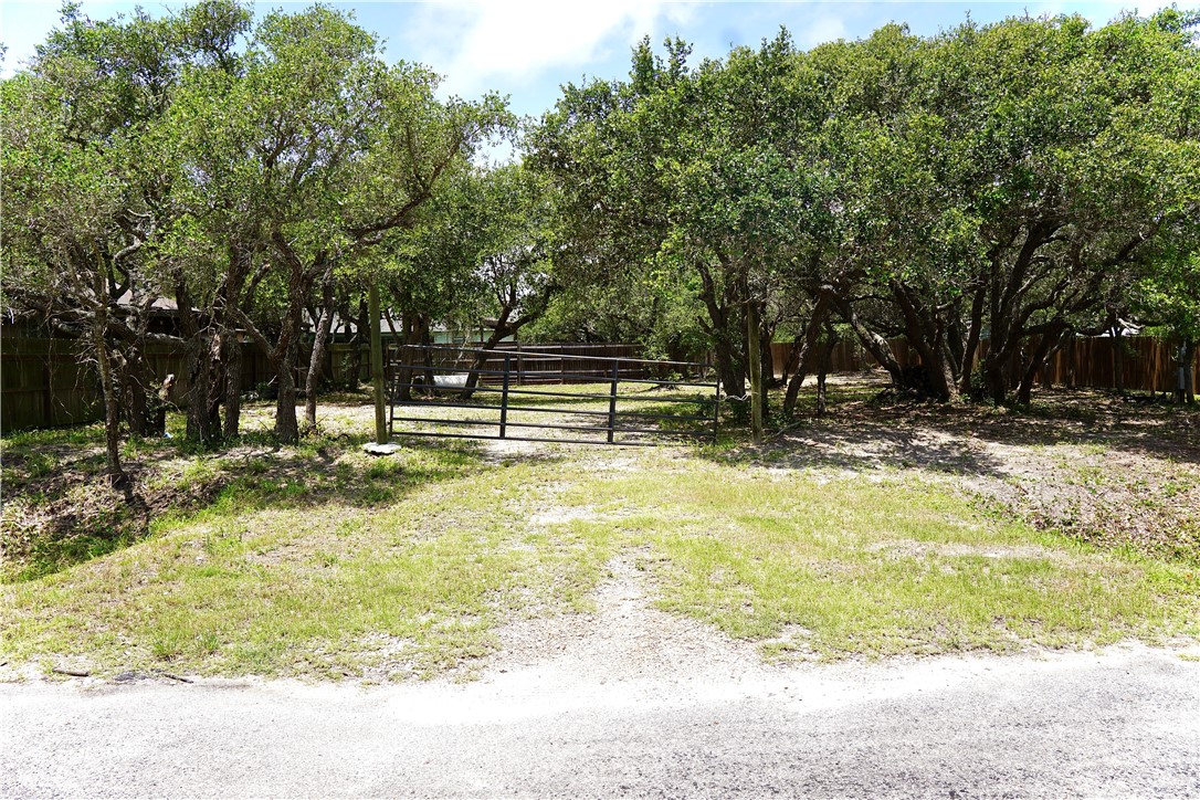 1121 Egret Property Photo 1