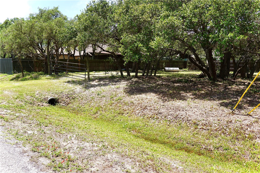 1121 Egret Property Photo 3