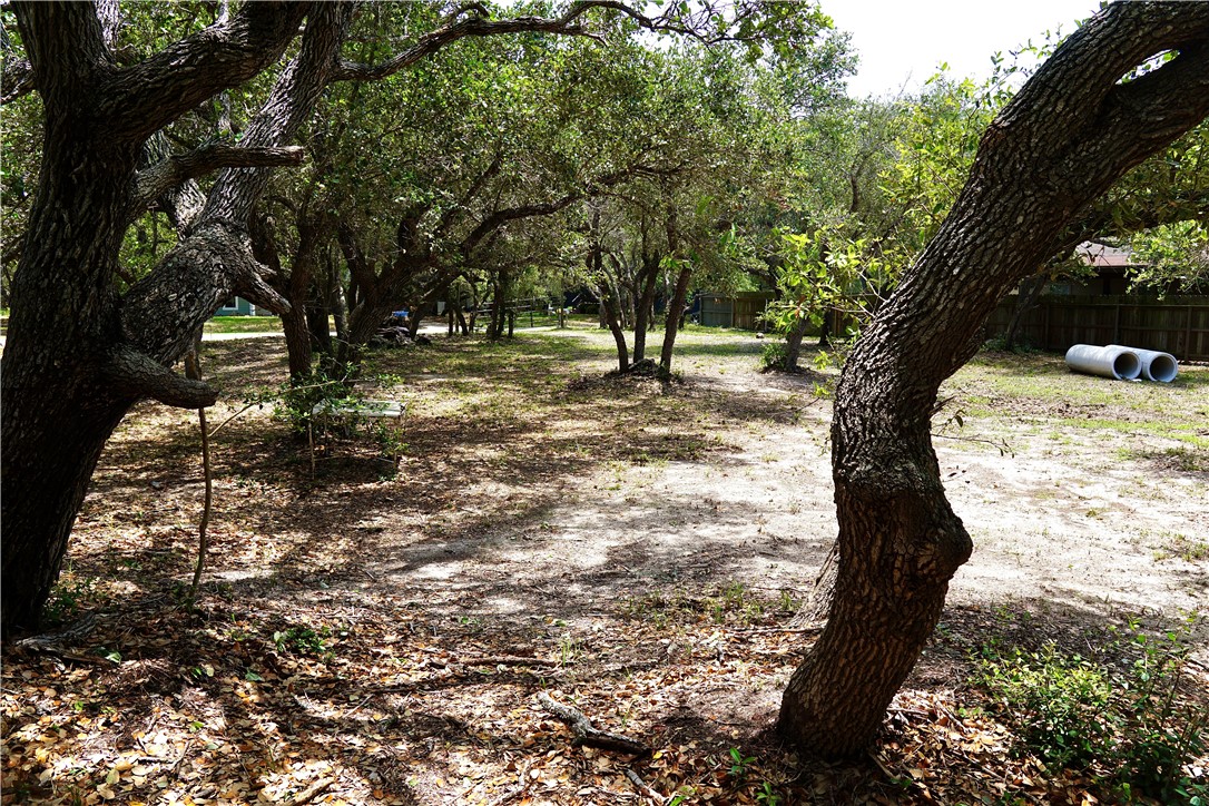 1121 Egret Property Photo 10