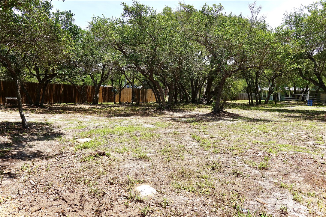 1121 Egret Property Photo 16