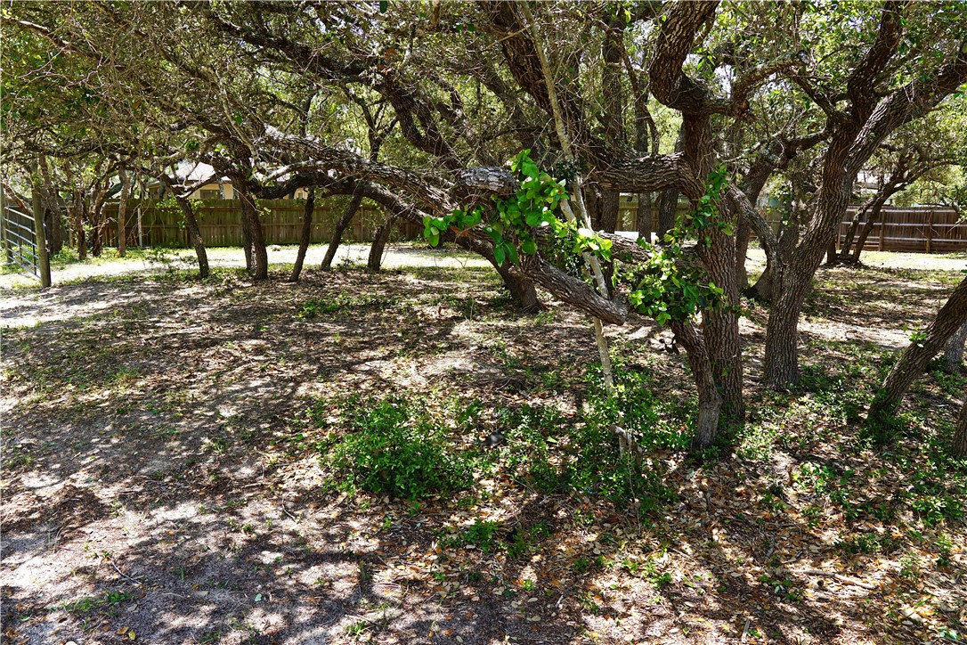 1121 Egret Property Photo 21